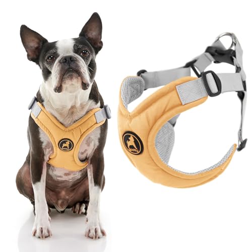 Gooby Memory Foam Step in Harness - Yellow, Large - No Pull Small Dog Harness Patented Choke-Free X Frame - Perfect on the Go Dog Harness for Medium Dogs No Pull or Small Dogs - color: Yellow, size: Large chest (19-23.5")