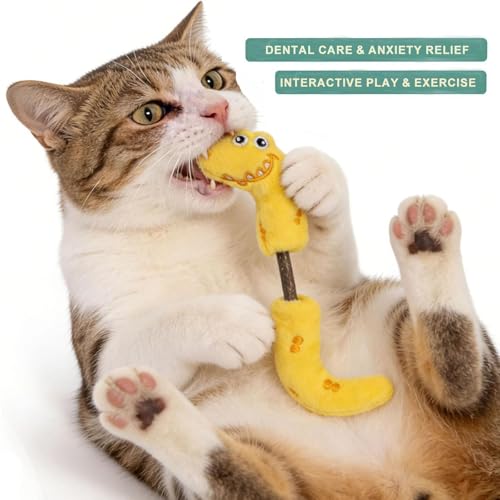 Interactive Cat Toys Set, Silvervine Chew Sticks and Cat Spring Toy, Indoor Catnip Toys for Exercise and Dental Care, for Adult Cats and Kittens (10 Packs) - color: 10 Packs