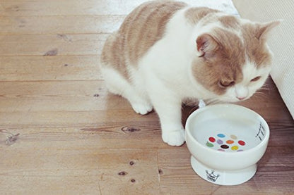 Necoichi Elevated Cat Water Bowl – Ceramic Raised Cat Bowl, Prevents Neck & Whisker Fatigue – Dishwasher & Microwave Safe – Pet Water Bowl for Cats (Jelly Bean, Regular) - style: Jelly Bean