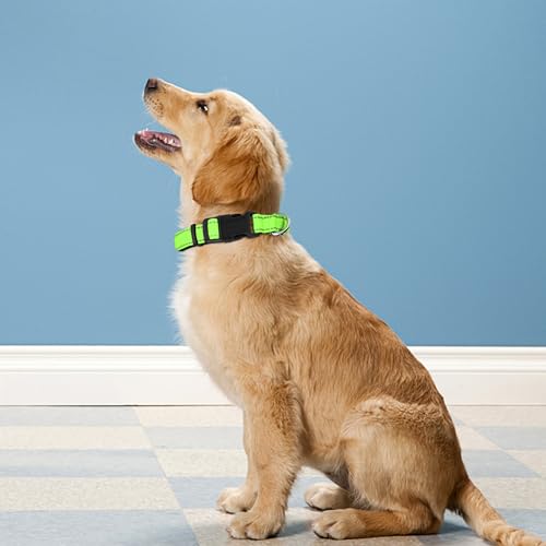 Reflective Dog Collar, Adjustable Soft Neoprene Padded Nylon Pet Collars with Buckle for Puppy and Small Dogs, Cats, Green,XS - color: Green, size: X-Small