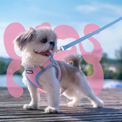 rabbitgoo Dog Harness Small Sized and Leash Set, Step-in Breathable Pet Harness, Soft Walking Reflective Puppy Vest for Small Dogs, Pink & Light Blue, XXS - color: Pink & Light Blue, size: XXS (Chest: 12.4 - 14.2")
