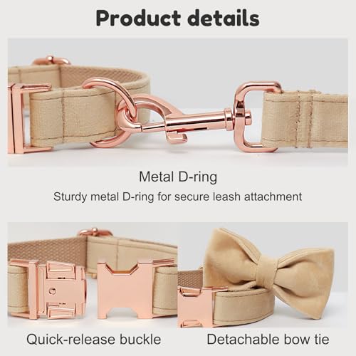 Personalized Velvet Dog Collar with Name - Custom Engraved Buckle, Adjustable Luxury Velvet Collar for Small Medium Large Dogs (Beige, M) - color: Beige, size: M