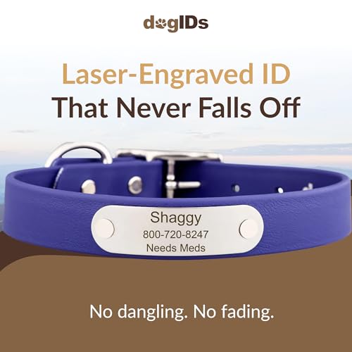 dogIDs Personalized Dog Collar – Custom Waterproof Soft-Grip Biothane with Laser-Engraved Nameplate, Durable & Odor-Resistant, USA Made | Blue, 1 in x 16 in (Fits Necks Size 14-18 in) - color: Blue, size: 1 in x 16 in (Fits Necks Size 14-18 in)