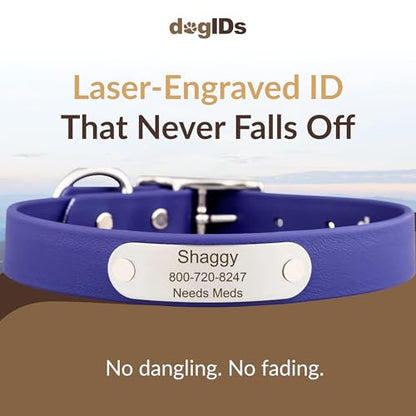 dogIDs Personalized Dog Collar – Custom Waterproof Soft-Grip Biothane with Laser-Engraved Nameplate, Durable & Odor-Resistant, USA Made | Blue, 1 in x 16 in (Fits Necks Size 14-18 in) - color: Blue, size: 1 in x 16 in (Fits Necks Size 14-18 in)