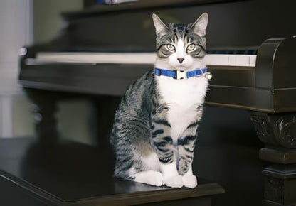 Blue Puppy Collar with Bell, Reflective Nylon XS Cat Collars Soft Adjustable Buckle for XSmall Small Puppy Female Tiny Pets Dogs Boy Girl Kitten Yorkie X-Small - color: Blue