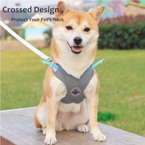 Dog Harness Pet X Frame No Pull Step-in Harnesses with Leash Set, Adjustable Reflective Choke Free Puppy with Padded Vest for Small, Medium Dogs and Cats Walking Training - color: Grey, size: Small