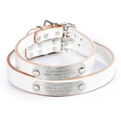 Handmade Personalized Bridle Leather Dog Collar, Engraved Stainless Steel Nameplate (White) - color: White