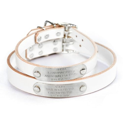 Handmade Personalized Bridle Leather Dog Collar, Engraved Stainless Steel Nameplate (White) - color: White