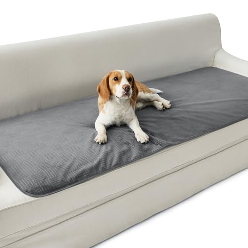 Bedsure Waterproof Couch Cover for Dogs Washable - Waterproof Blanket for Couch Sofa Cozy, Lightweight Furniture Protector for Pet Cat Quick Drying Puppy, Ash Grey, 30x70IN - color: Ash Grey, size: 30x70 inch