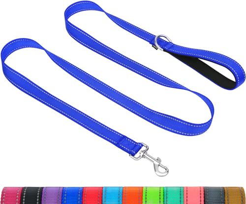 Taglory Dog Leash for Medium Large Dogs, Double-Sided Reflective for Night Walking, Neoprene Padded Handle, 1 inch by 4 ft, Heavy Duty for Medium Large Breeds 20-150 lbs, Navy Blue - color: Navy Blue, size: 1 in x 4 ft (Pack of 1)