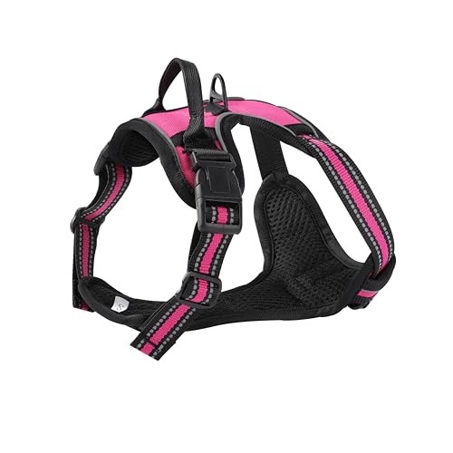 Hot Pink No-Pull Dog Harness with 2 Leash Clips，Soft Padded Vest for Small Dog, Adjustable Reflective Dog Vest Easy to Put on and Take Off,(Neck: 13"~17", Chest: 17"~21",Hot Pink Small) - color: Hot Pink, size: Small