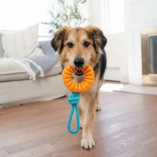 Dental Chew Wheel Dog Toy – Ring & Rope Tug, Multi-Textured, Soft on Teeth, Moderate Chewers, Mint Scented, 9" - color: Chew Wheel