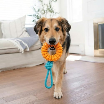 Dental Chew Wheel Dog Toy – Ring & Rope Tug, Multi-Textured, Soft on Teeth, Moderate Chewers, Mint Scented, 9" - color: Chew Wheel