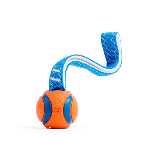 Chuckit! Ultra Tug Dog Toy, Small Fetch and Dog Ball Tug Toy for Dogs 0-20 Pounds - size: Small, style: Ultra Tug