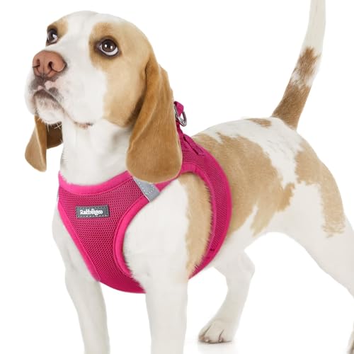 rabbitgoo Small Dog Harness, Step-in Soft Mesh Puppy Vest with Safety Buckle, Breathable Reflective Pet Harness for Small Sized Dogs, Rose Red M - color: Rose Red, size: M(chest:16.0"-18.5")