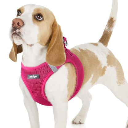 rabbitgoo Small Dog Harness, Step-in Soft Mesh Puppy Vest with Safety Buckle, Breathable Reflective Pet Harness for Small Sized Dogs, Rose Red M - color: Rose Red, size: M(chest:16.0"-18.5")