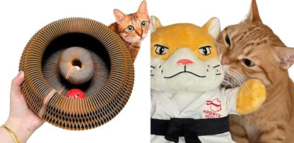 KITTY KURLZ & Karate Kitty Active Indoor Cat Play Bundle – Interactive Ball Track Scratcher + Cat Wrestling Glove with Protective Arm Sleeve