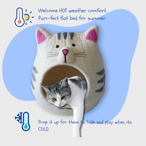 Premium Merino Wool Cat Cave Bed. Foldable, Eco-Friendly, Handmade Felt Kitten Bed and Covered Cat House (43x43cm). Hideaway Pod for Cats. Easy to Clean and Maintain. for Small to Large cat. - color: CatShape
