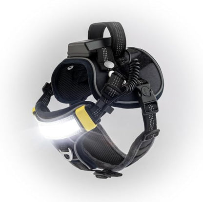 Lumi One LED Dog Harness for Night Visibility and Safety, Patent Pending – High-Visibility Light-Up Dog Vest with 1000 Lumen LED, Rechargeable Battery, Adjustable Fit, Reflective Trim (Black, Small) - color: Black, size: Small