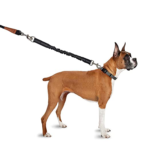 Bungee Dog Leash Extension, 18”Dog Shock Absorber Extender, Works with Any Leash for Walking, Jogging, Training, Playing - color: Black