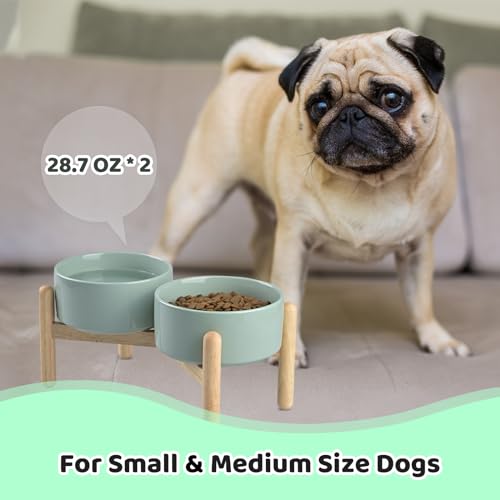 SPUNKYJUNKY Ceramics Raised Dog Bowls with Wooden Stand - Elevated Bowls for Small Medium Dogs (Double 28.7OZ, Light Green) - color: Light Green (Double Bowls Set), size: Medium - 3.6 CUPS