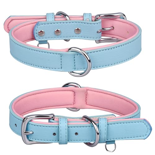 Dog Collars for Large Dogs, Breathable Quickrelease Waterproof Small Dog Collar with Metal Buckle,Comfortable Adjustable Heavy Duty Collar for Medium Dog for Small Medium Large Dogs - color: Blue, size: M