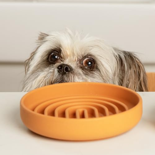 Should We Go? Slow Feeder for Dogs & Cats, The Slowdown Bowl Silicone Slow Eating Mealtime Solution with Modern Lick Mat Design, Reduces Gulping, Fits 1 Cup, 6” Across x 1.25” Tall, Small-Terracotta - color: Terracotta, size: Small (6” Across x 1.25” Tall