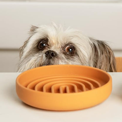 Should We Go? Slow Feeder for Dogs & Cats, The Slowdown Bowl Silicone Slow Eating Mealtime Solution with Modern Lick Mat Design, Reduces Gulping, Fits 1 Cup, 6” Across x 1.25” Tall, Small-Terracotta - color: Terracotta, size: Small (6” Across x 1.25” Tall