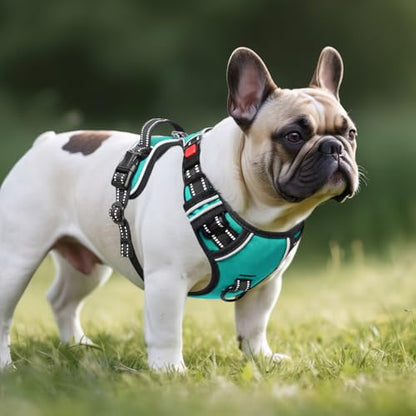 No Pull Dog Harness, Release at Neck Reflective 3 Snap Buckles Adjustable No Choke Pet Vest with Front & Back 2 Leash Clips, Soft Padded Control Training Handle for Small Medium Large Dogs - color: Lock-Turquoise, size: Medium (Pack of 1)