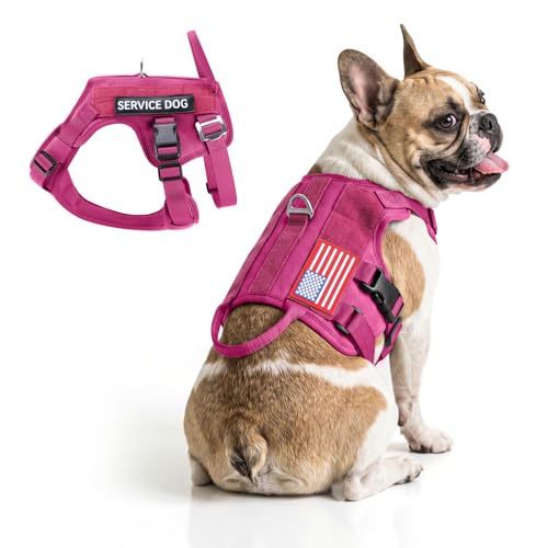 Tactical Dog Harness for Small and Medium Breed - Mesh Breathable Dog Harness Escape Proof with Handle - No Pull Military Service Dog Vest with Removable Patches for Walking,Training,Hiking - color: Fuchsia, size: S(Chest:17-22")