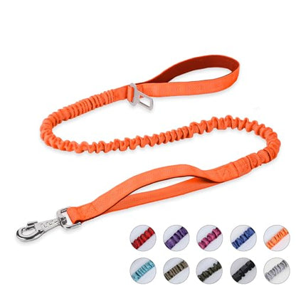 BUMBIN 6Ft Dog Leash - Large Dogs, Bungee Leash with 2 Handles, Heavy Duty, No Pull Shock Absorbing, Orange - color: Orange