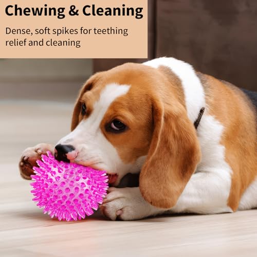 6 Pack Squeaky Spiky Dog Balls, Puppy Chew Toys for Teething, Food-Grade TPR Rubber Durable, Interactive Fetch Floating Dog Pool Ball Toy for Chewers for Small Medium (Medium) - size: Medium