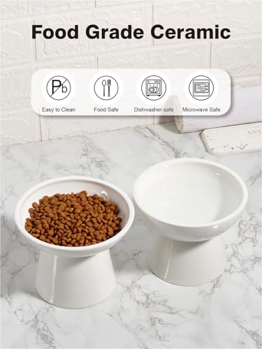 LoeJan Elevated Cat Food and Water Bowls Set, Extra Wide and Raised Ceramic Feeder, Anti-Vomit Whisker-Free Pressure Feeding Bowl for Kittens Adult Small Dogs - color: White, size: 2 Pack (Food & Water Bowls)