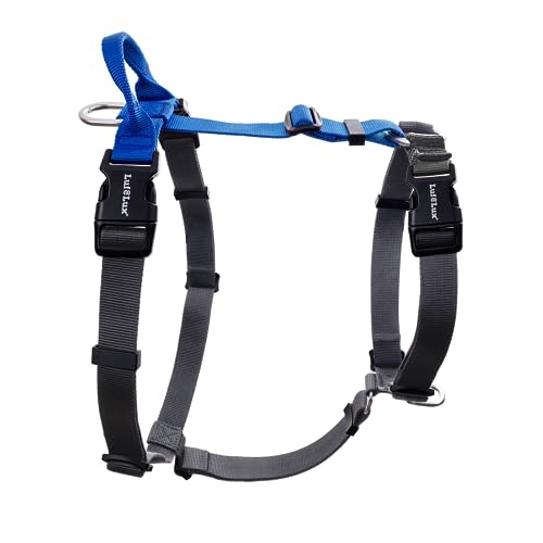 Non-Restrictive Dog Harness, Easy Walk Freedom No Pull Harness, Keep Balance, Neck-Buckle, Six Points Adjustment, 2 Leash Clips for Back and Front Clip (Blue/Black, X-Small) - color: Blue/Black, size: XS