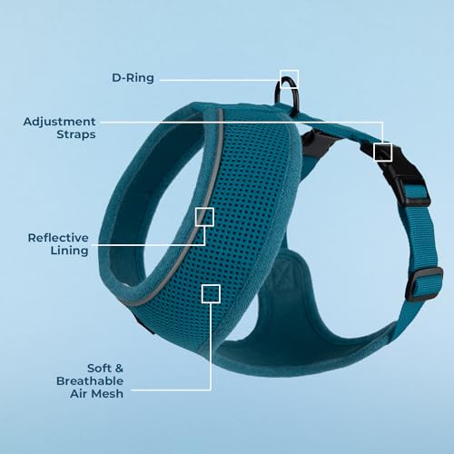 Voyager Aerolite Over the Head Dog Harness, No Pull Breathable Air Mesh Vest, Quick Dry with Reflective Stitching, Adjustable Escape Resistant Harness for Small Medium Large Dogs - Turquoise, X-Small - color: Turquoise, size: XS