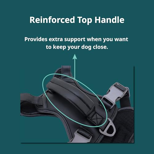CANAGAN Premium Vegan Leather Dog Harness – Adjustable No Pull Vest for Extra Large Dogs, Heavy Duty, Durable Zinc Alloy Buckles, Dual Leash Clips & Handle – Daily Walks & Outdoor Use – Black - size: XL: Chest(27" - 38")