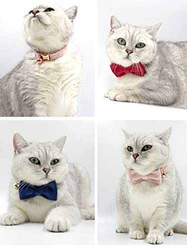Personalized Cat Collar with Engraved Name and Phone Number - Customizable Kitten Collars for Boys and Girls (Velvet) - color: Velvet