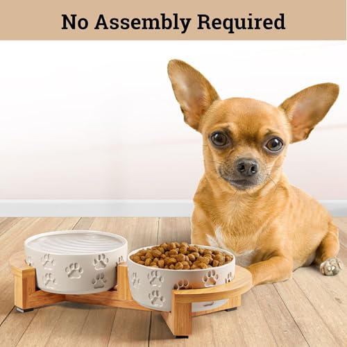 Ceramic Dog Bowls with Stand - Small Dog Bowl Set with Stand Non-Slip - 2 Ceramic Dishes with Anti-Skid Bamboo Stand for Small Dogs - Elevated Dog Bowls Set of 2 - Raised Pet Feeding Station - color: White with Stand, size: Small
