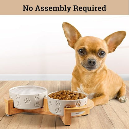 Ceramic Dog Bowls with Stand - Small Dog Bowl Set with Stand Non-Slip - 2 Ceramic Dishes with Anti-Skid Bamboo Stand for Small Dogs - Elevated Dog Bowls Set of 2 - Raised Pet Feeding Station - color: White with Stand, size: Small