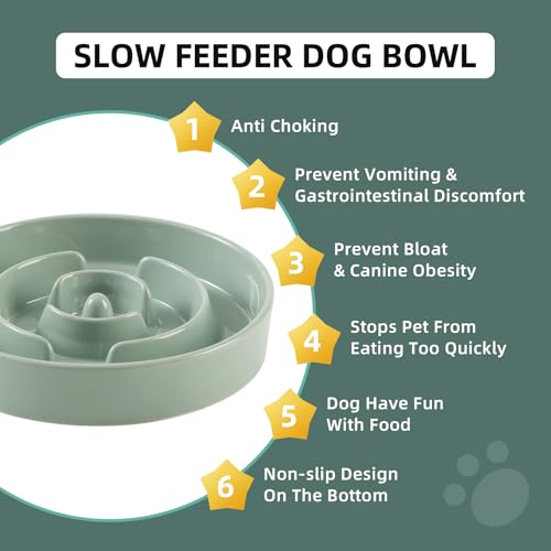 Havniva Ceramic Slow Feeder Dog Bowls, 1.6 Cups Dog Bowl Slow Feeding for Medium Breed, 8.2inch Puzzle Dog Food Bowl Slow Feeder Non-Slip Anti-Gulping and Anti-Choking Reduces Bloating - color: 1 x Light Green-A, size: 8.2inch