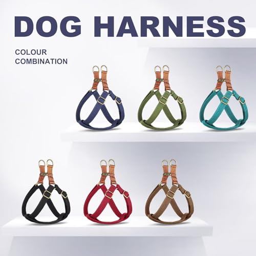 Didog Step in Dog Harness with Metal Buckles, Freedom Nylon Dog Halter Vests for Medium Dogs Easy Walking Training(M:Chest 19-28", Black) - color: Black, size: M: Chest 19-28", Fit 15-30 lbs