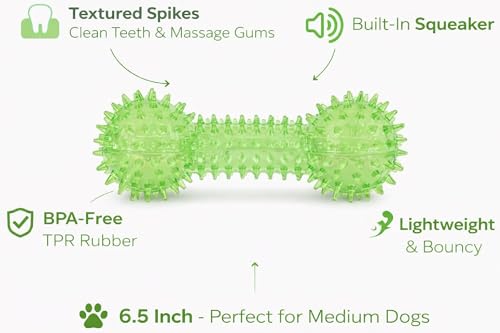Squeaky Spiky Dog Barbell Toy for Teeth Cleaning & Gum Massage 6.3 Inch Medium Large Dogs Green | Spiny TPR Rubber Chew Toy for Fetch Play Interactive Dental Barbell Durable BPA Free Nontoxic Floats - size: Green Bone 1-Pack