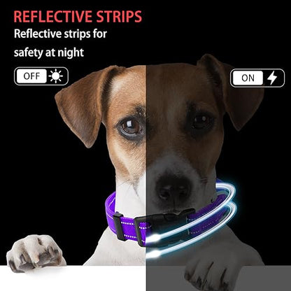 Reflective Dog Collar with Safety Locking Buckle, Adjustable Soft Breathable Nylon Collars for Small, Medium and Large Dogs(Collar+Leash XS Width 3/8" Purple) - color: Purple, size: XX-Small (Width 3/8")