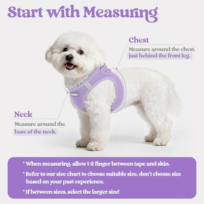 rabbitgoo Dog Harness Medium Sized and Leash Set, Step in Soft Light Puppy Vest, Breathable Mesh Pet Harness, Reflective for Safe Easy Walking, Light Purple XXL - color: Light Purple, size: Xxl (chest: 21.6 - 23.7")