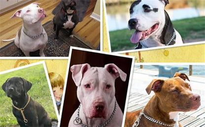 Silver Dog Choker Chain,Metal Slip Link P Chain Training Heavy Duty Male Boys Martingale Collar Female Girls Puppy Collars for XXS XS Small Medium Large Big Breed,L - color: Silver, size: L(neck Max 20inch)d3.5mm