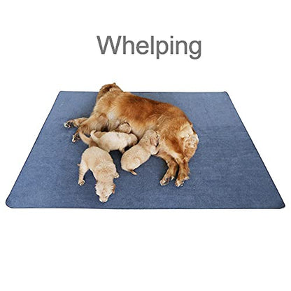 Peepeego Non-Slip Dog Pad 65 x 48, Washable Pee Pad with Fast Absorbent, Waterproof for Training, Whelping - size: 65x48 Inch（Pack of 1)