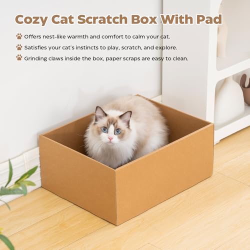 Avont 3-Piece Cardboard Cat Scratcher Set for Indoor Cats, Corrugated Cat Scratchers with Reversible Scratch Pad, Scratch Box and Lounge Bed