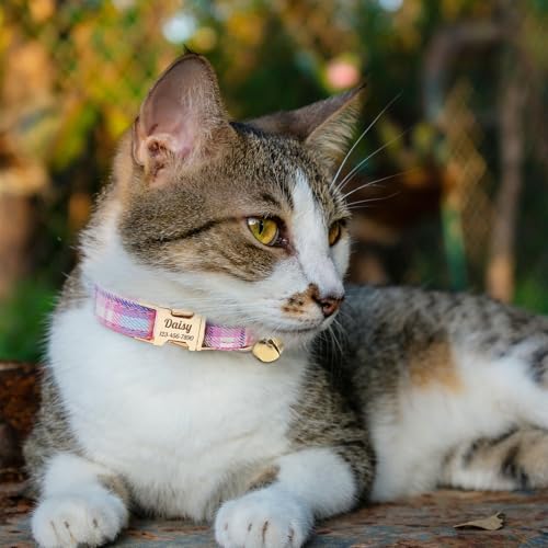 Personalized Plaid Cat Collar with Bell - Non-Breakaway Custom Polyester Kitten Collar with Engraved Name & Phone Number (Pattern 09, L (7.5-12.5 Inches)) - color: Pattern 09, size: L (7.5-12.5 Inches)