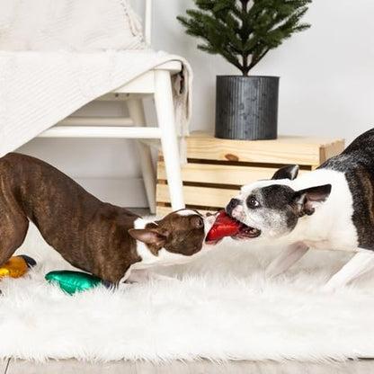 Fringe Studio Plush Dog Toy Set, Light Up My Life, 3 Piece Set, Pet Shop Collection (662060) - color: Llight up my Life