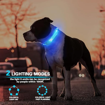 2 Pack LED Light for Dog Leash Harness, USB Rechargeable Light Up Collar with Nylon Stickers, Glow Light Easy to Attach to Collar Leash and Harness, Safety LED Light Up Band for Dogs at Night Walking